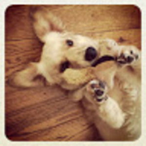 Meet your Posher, Joseph